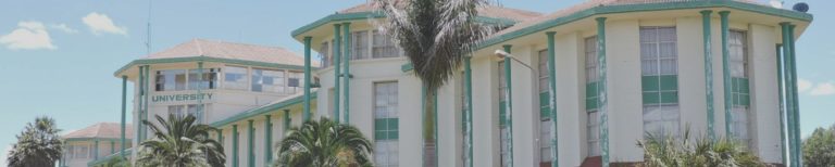 Researching the gap: Community health worker education in Dadaab